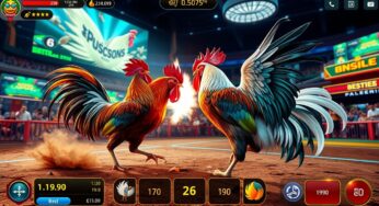 Panduan Taruhan Sabung Ayam Online Terpercaya